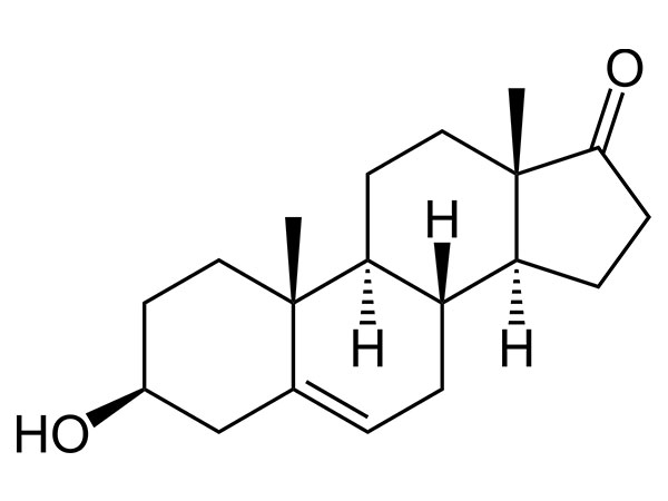 DHEA (พราสเตอโรน)